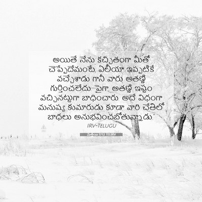 Picture 07 - మత్తయి 17:12 TELIRV - అయితే నేను - Bible Verse Picture