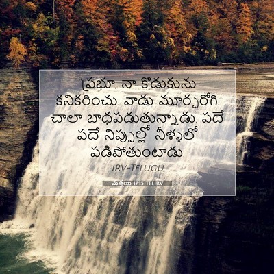 Picture 07 - మత్తయి 17:15 TELIRV - “ప్రభూ, నా - Bible Verse Picture
