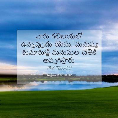 Picture 07 - మత్తయి 17:22 TELIRV - వారు గలిలయలో - Bible Verse Picture