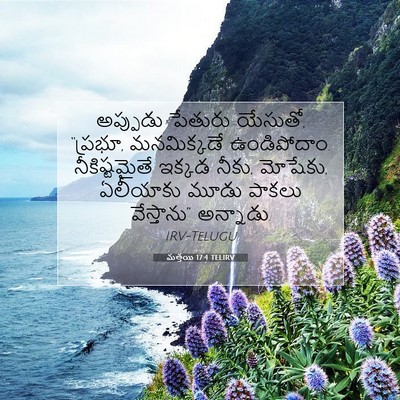 Picture 07 - మత్తయి 17:4 TELIRV - అప్పుడు పేతురు - Bible Verse Picture