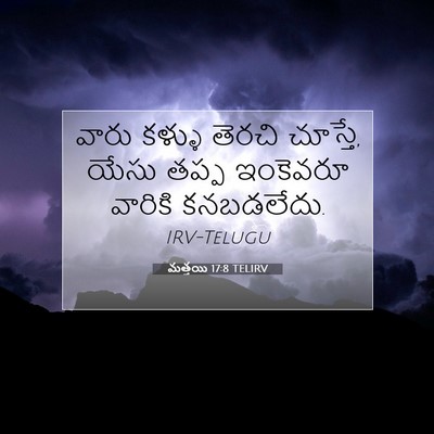 Picture 07 - మత్తయి 17:8 TELIRV - వారు కళ్ళు తెరచి - Bible Verse Picture