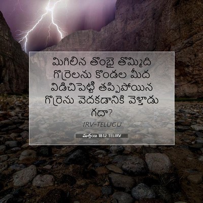 Picture 07 - మత్తయి 18:12 TELIRV - మిగిలిన తొంభై - Bible Verse Picture
