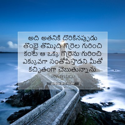 Picture 07 - మత్తయి 18:13 TELIRV - అది అతనికి - Bible Verse Picture