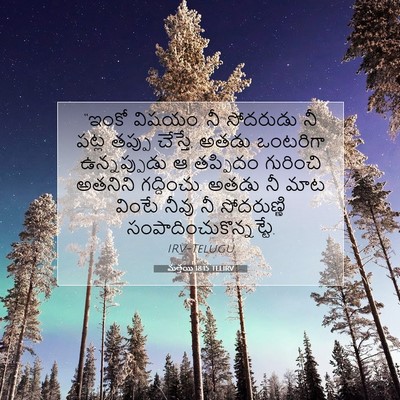 Picture 07 - మత్తయి 18:15 TELIRV - “ఇంకో విషయం. నీ - Bible Verse Picture