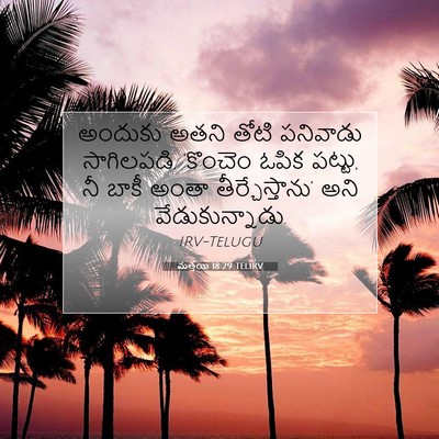Picture 07 - మత్తయి 18:29 TELIRV - అందుకు అతని తోటి - Bible Verse Picture