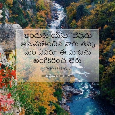Picture 07 - మత్తయి 19:11 TELIRV - అందుకు యేసు, - Bible Verse Picture
