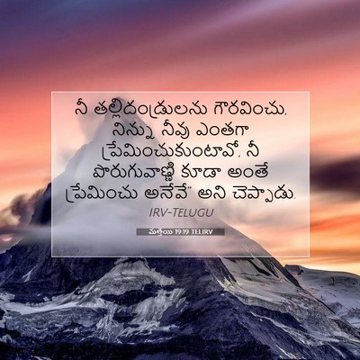 Picture 07 - మత్తయి 19:19 TELIRV - నీ తల్లిదండ్రులను - Bible Verse Picture