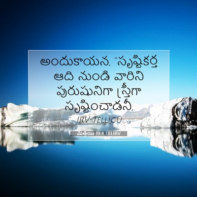 Picture 07 - మత్తయి 19:4 TELIRV - అందుకాయన, - Bible Verse Picture