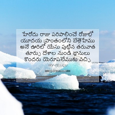 Picture 07 - మత్తయి 2:1 TELIRV - హేరోదు రాజు - Bible Verse Picture
