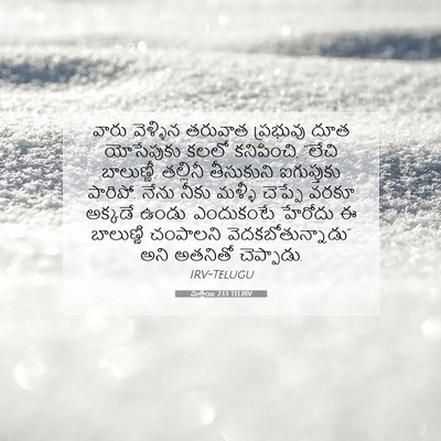 Picture 07 - మత్తయి 2:13 TELIRV - వారు వెళ్ళిన - Bible Verse Picture