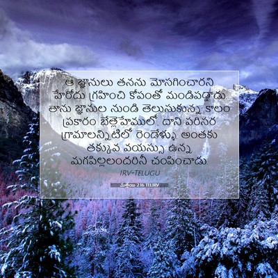Picture 07 - మత్తయి 2:16 TELIRV - ఆ జ్ఞానులు తనను - Bible Verse Picture