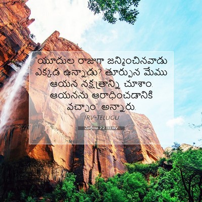 Picture 07 - మత్తయి 2:2 TELIRV - “యూదుల రాజుగా - Bible Verse Picture