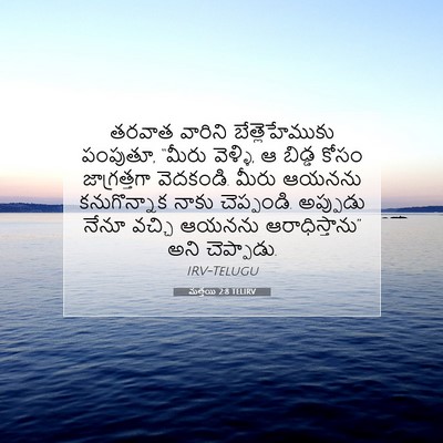 Picture 07 - మత్తయి 2:8 TELIRV - తరవాత వారిని - Bible Verse Picture
