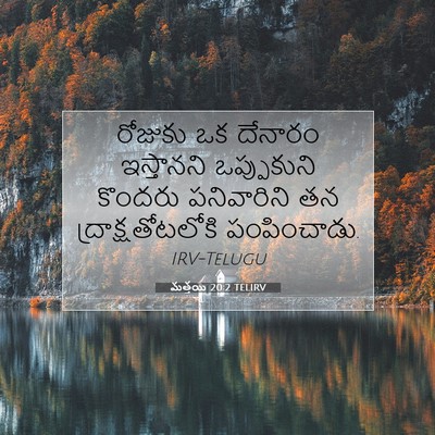 Picture 07 - మత్తయి 20:2 TELIRV - రోజుకు ఒక దేనారం - Bible Verse Picture