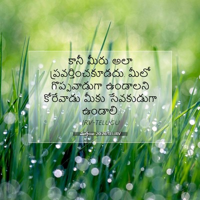 Picture 07 - మత్తయి 20:26 TELIRV - కానీ మీరు అలా - Bible Verse Picture