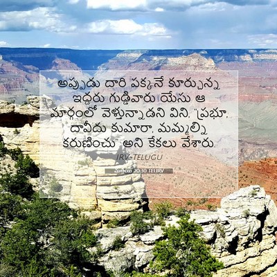 Picture 07 - మత్తయి 20:30 TELIRV - అప్పుడు దారి - Bible Verse Picture