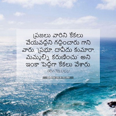 Picture 07 - మత్తయి 20:31 TELIRV - ప్రజలు వారిని - Bible Verse Picture