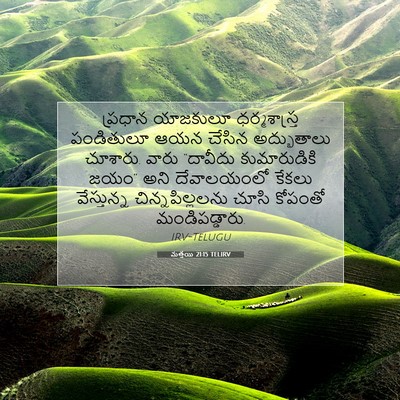 Picture 07 - మత్తయి 21:15 TELIRV - ప్రధాన యాజకులూ - Bible Verse Picture
