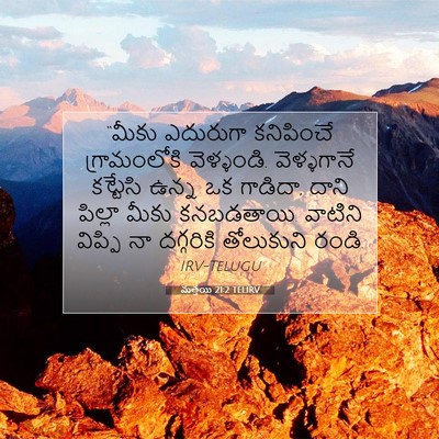 Picture 07 - మత్తయి 21:2 TELIRV - “మీకు ఎదురుగా - Bible Verse Picture