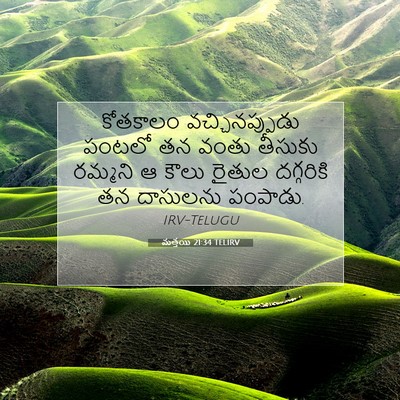Picture 07 - మత్తయి 21:34 TELIRV - కోతకాలం - Bible Verse Picture