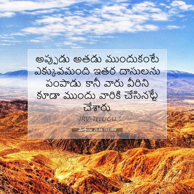 Picture 07 - మత్తయి 21:36 TELIRV - అప్పుడు అతడు - Bible Verse Picture