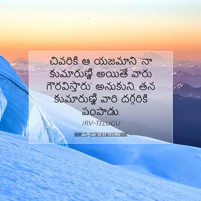 Picture 07 - మత్తయి 21:37 TELIRV - చివరికి ఆ యజమాని - Bible Verse Picture