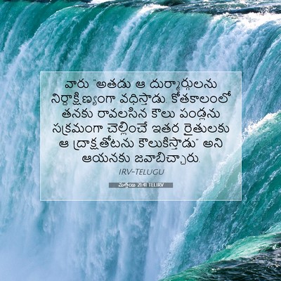 Picture 07 - మత్తయి 21:41 TELIRV - వారు “అతడు ఆ - Bible Verse Picture