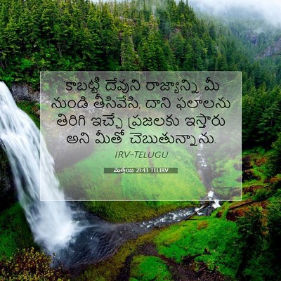 Picture 07 - మత్తయి 21:43 TELIRV - “కాబట్టి దేవుని - Bible Verse Picture