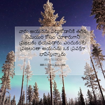 Picture 07 - మత్తయి 21:46 TELIRV - వారు ఆయనను - Bible Verse Picture
