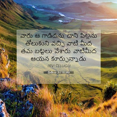 Picture 07 - మత్తయి 21:7 TELIRV - వారు ఆ గాడిదను, - Bible Verse Picture