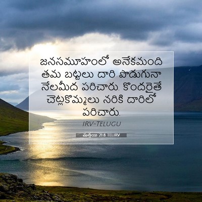 Picture 07 - మత్తయి 21:8 TELIRV - జనసమూహంలో - Bible Verse Picture