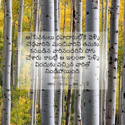 Picture 07 - మత్తయి 22:10 TELIRV - ఆ సేవకులు - Bible Verse Picture