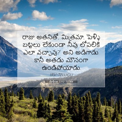 Picture 07 - మత్తయి 22:12 TELIRV - రాజు అతనితో, - Bible Verse Picture