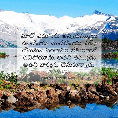 Picture 07 - మత్తయి 22:25 TELIRV - మాలో ఏడుగురు - Bible Verse Picture