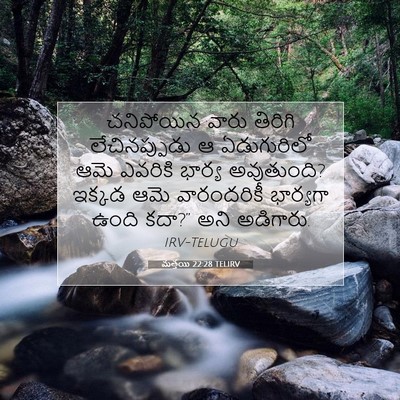 Picture 07 - మత్తయి 22:28 TELIRV - చనిపోయిన వారు - Bible Verse Picture