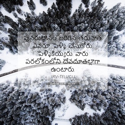Picture 07 - మత్తయి 22:30 TELIRV - పునరుత్థానం - Bible Verse Picture