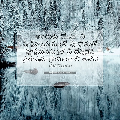 Picture 07 - మత్తయి 22:37 TELIRV - అందుకు యేసు, “‘నీ - Bible Verse Picture