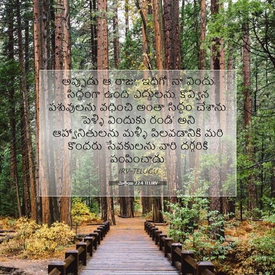 Picture 07 - మత్తయి 22:4 TELIRV - అప్పుడు ఆ రాజు, - Bible Verse Picture