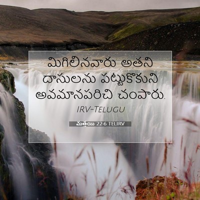 Picture 07 - మత్తయి 22:6 TELIRV - మిగిలినవారు అతని - Bible Verse Picture