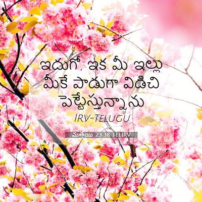 Picture 07 - మత్తయి 23:38 TELIRV - ఇదుగో, ఇక మీ ఇల్లు - Bible Verse Picture