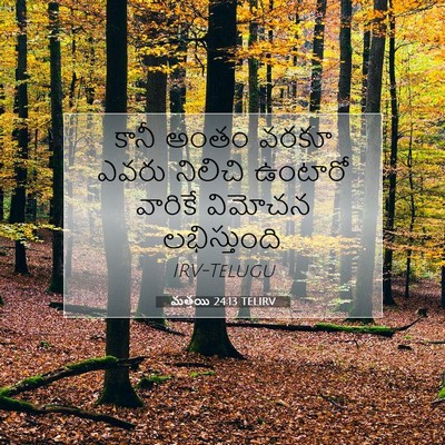 Picture 07 - మత్తయి 24:13 TELIRV - కానీ అంతం వరకూ - Bible Verse Picture