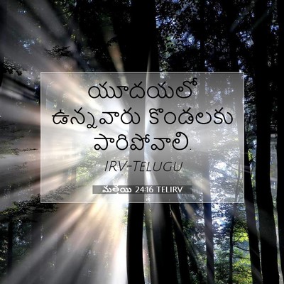 Picture 07 - మత్తయి 24:16 TELIRV - యూదయలో ఉన్నవారు - Bible Verse Picture