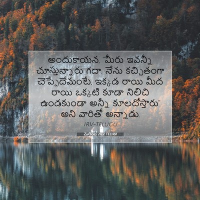 Picture 07 - మత్తయి 24:2 TELIRV - అందుకాయన, “మీరు - Bible Verse Picture