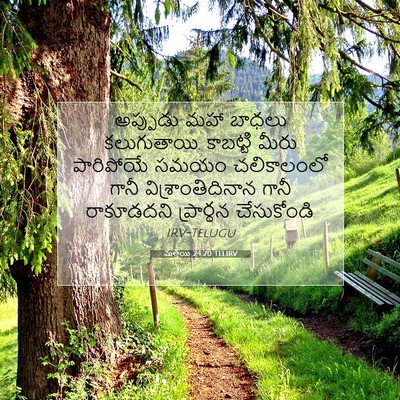 Picture 07 - మత్తయి 24:20 TELIRV - అప్పుడు మహా బాధలు - Bible Verse Picture