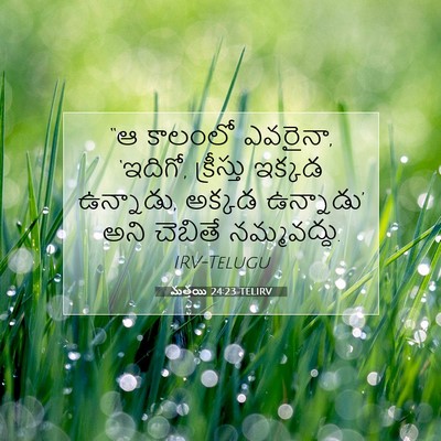 Picture 07 - మత్తయి 24:23 TELIRV - “ఆ కాలంలో ఎవరైనా, - Bible Verse Picture