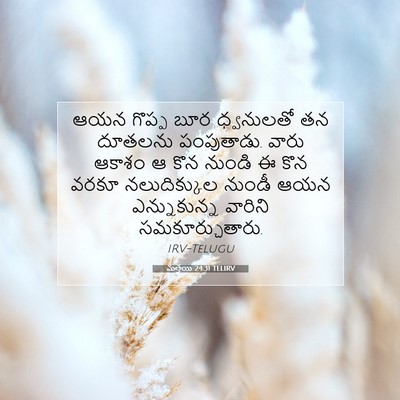 Picture 07 - మత్తయి 24:31 TELIRV - ఆయన గొప్ప బూర - Bible Verse Picture