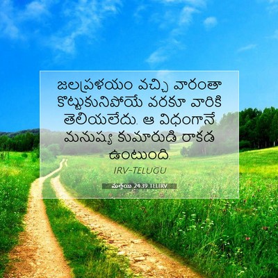 Picture 07 - మత్తయి 24:39 TELIRV - జలప్రళయం వచ్చి - Bible Verse Picture