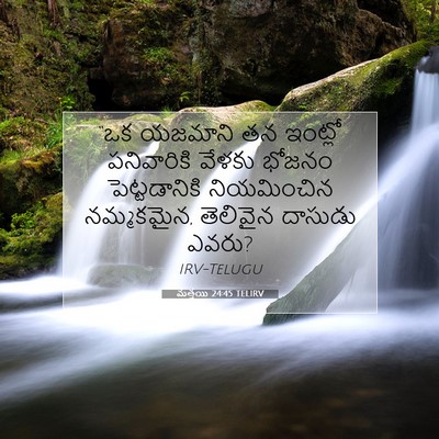Picture 07 - మత్తయి 24:45 TELIRV - “ఒక యజమాని తన - Bible Verse Picture