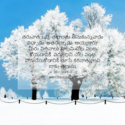 Picture 07 - మత్తయి 25:24 TELIRV - తరువాత ఒక్క - Bible Verse Picture