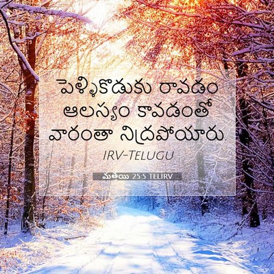 Picture 07 - మత్తయి 25:5 TELIRV - పెళ్ళికొడుకు - Bible Verse Picture